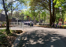 Lakeside Railway Station - Puffing Billy Railway