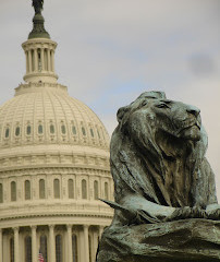 Cámara de Representantes de Estados Unidos