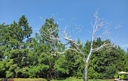 Jardín de esculturas