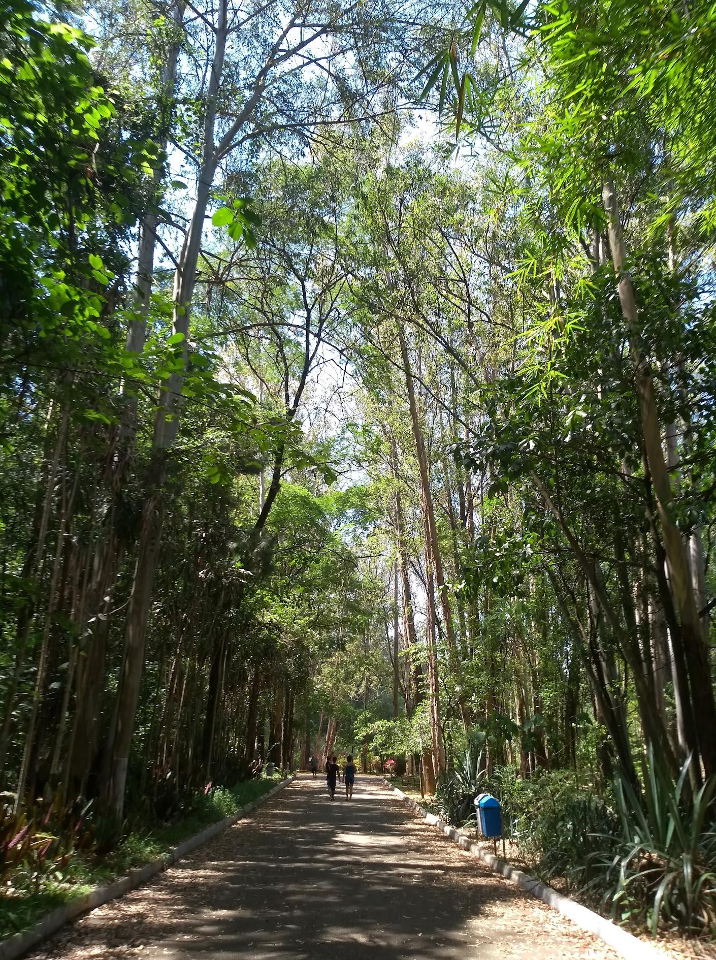 Parque Natural Chico Mendes