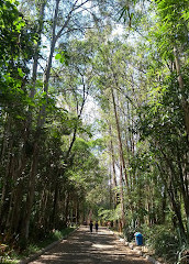 Природный парк Чико Мендес