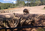 Zooparque Itatiba