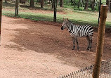 Zoopark Itatiba