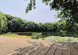 Parque do Lago