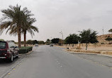 Lake park Riyadh