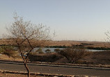 Lake Park Riyadh