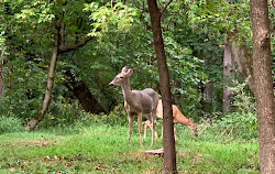 Parque Regional Potomac Overlook