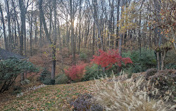 Parque Regional Potomac Overlook