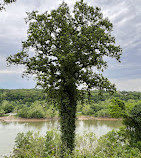 George Washington Memorial Parkway First Overlook