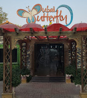 Dubai Butterfly Garden