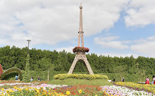 Lost Paradise Miracle garden