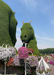 Lost Paradise Miracle garden