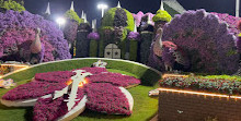 Lost Paradise Miracle garden