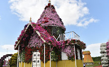 Lost Paradise Miracle garden