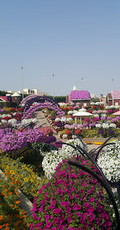 Lost Paradise Miracle garden