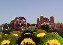 Lost Paradise Miracle garden