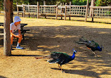 Jardin d'Acclimatation