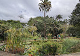 باغ گیاهشناسی