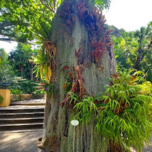 Botanical Garden