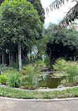 Botanical Garden