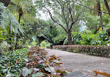 Botanical Garden