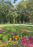 City Park