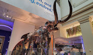 Smithsonian National Museum of Natural History