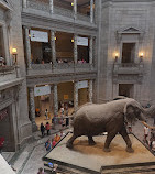 Museo Nacional de Historia Natural del Instituto Smithsoniano