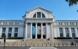 موزه ملی تاریخ طبیعی