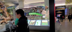 المتحف الوطني للتاريخ الطبيعي