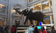 National Museum of Natural History