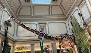 Smithsonian National Museum of Natural History