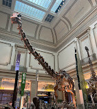 National Museum of Natural History