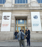 Smithsonian Museum