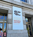 National Museum of Natural History
