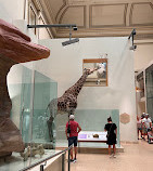 Museo Nacional de Historia Natural del Instituto Smithsoniano