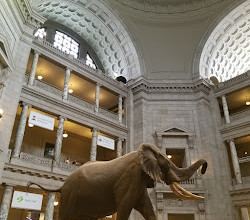 موزه ملی تاریخ طبیعی