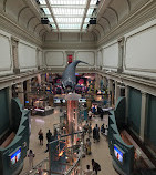 National Museum of Natural History