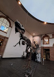 موزه تاریخ طبیعی سنکنبرگ