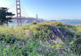 Golden Gate Postcard Viewpoint