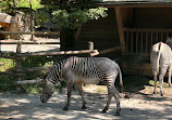 Salzburg Zoo Hellbrunn