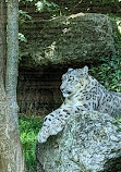 Salzburg Zoo Hellbrunn