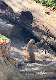 Salzburg Zoo Hellbrunn