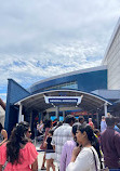 Georgia Aquarium