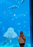 Georgia Aquarium