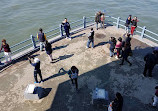 Galata bridge apart istanbul