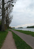 Rhine Promenade