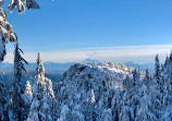 Mount Seymour Trail