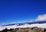 Mount Seymour Trail