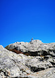 Mount Seymour Trail